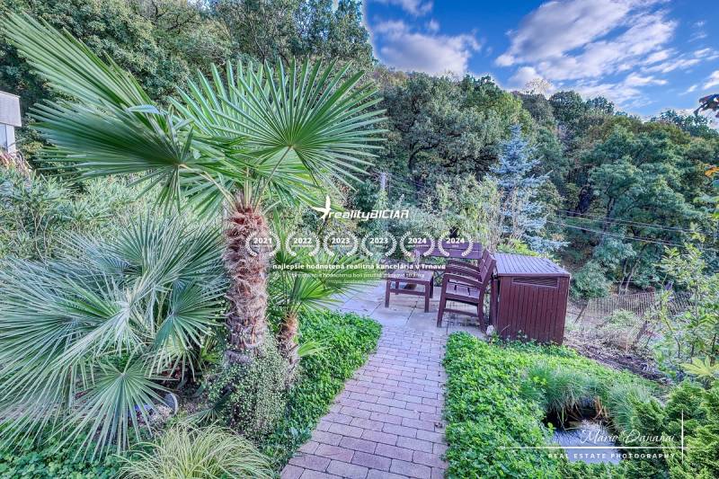 A family house in Bratislava - Devín with a terrace, garden, and palm tree overlooking the forest.
