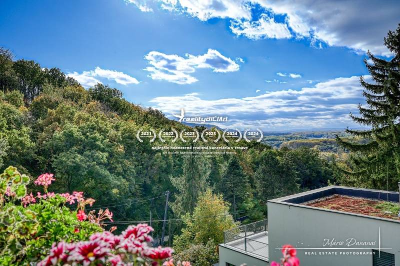 View of the forests from a cabin in Bratislava - Devín with flowers on the balcony.