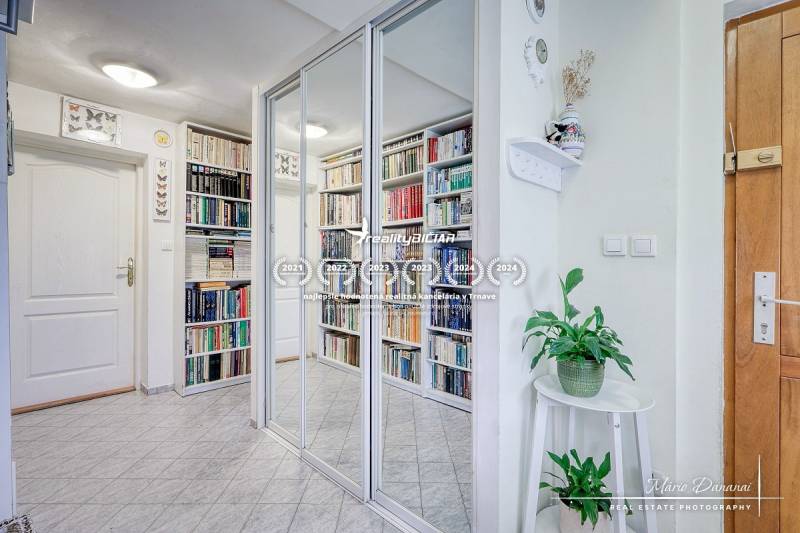 A cottage with a mirrored wardrobe, books, and plants creates a cozy space.
