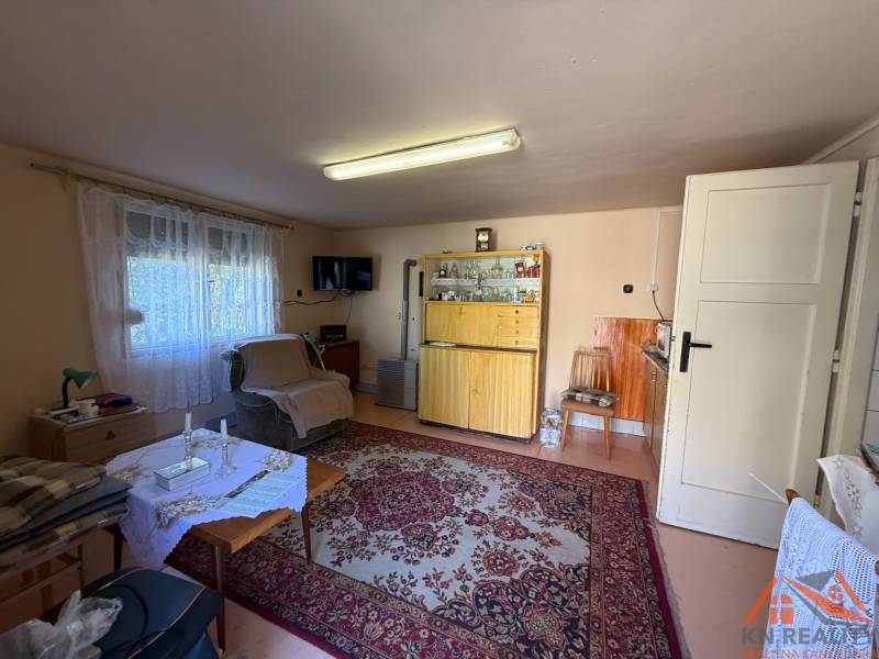 Living room in a family house with a carpet, antique furniture, and an armchair.