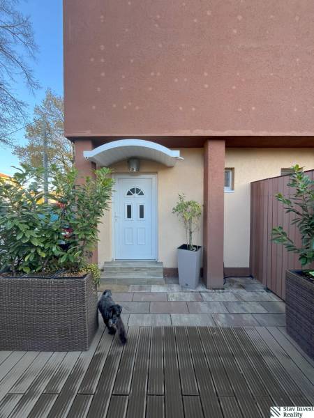 Entrance to the house with white doors, potted plants, and a dog on the terrace.