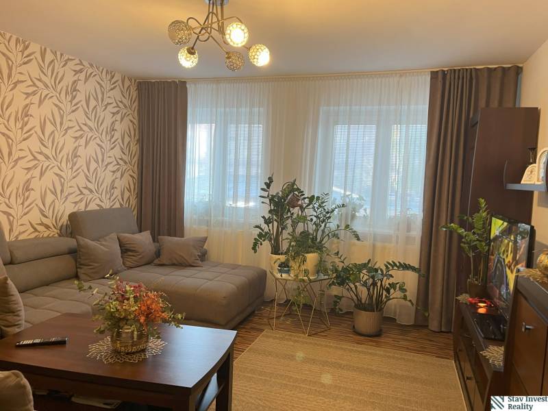 Living room of a two-room apartment with a comfortable sofa, flowers, and a television.