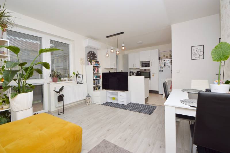 Living room with wood-patterned flooring, a kitchenette, and a dining table in a three-room apartment.