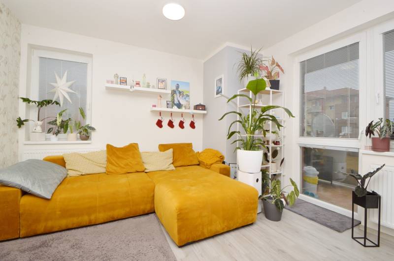 Living room in a three-room apartment with a mustard sofa, plants, and a wooden decor floor.