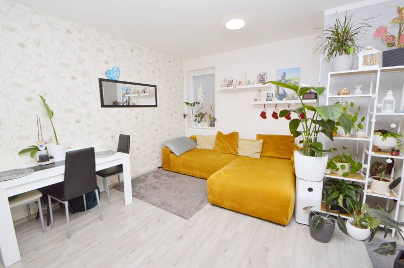 Living room in a 3-room apartment with a yellow sofa, table, and plants, floor with wood decor.