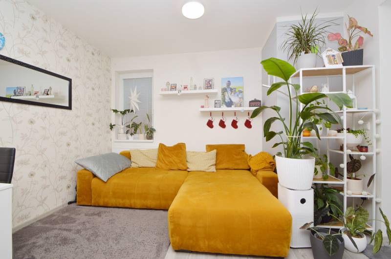 Living room in a 3-room apartment with a sofa, houseplants, and decorative shelves.