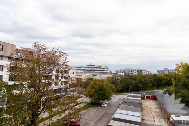 Autumn scenery of Haburská Street in Bratislava - Ružinov, surrounded by trees and buildings.