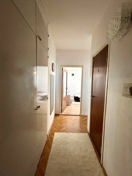 A hallway in a 2-room apartment with a wooden decor floor and a carpet.