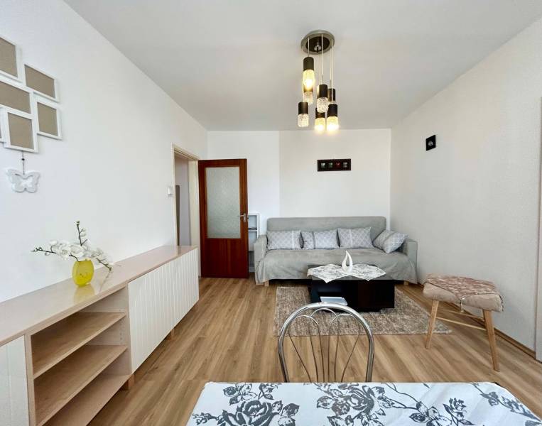 Living room in a two-room apartment with a wooden decor floor and a comfortable sofa.