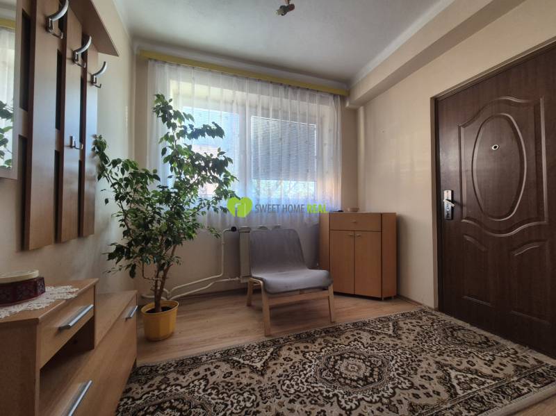 A hallway in a family house with a wooden decor floor, an armchair, and a plant.
