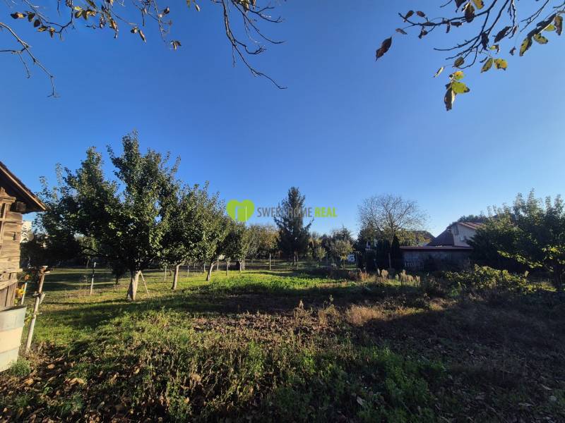 Garden at a family house in Trebišov on Kpt. Nálepku Street with fruit trees.