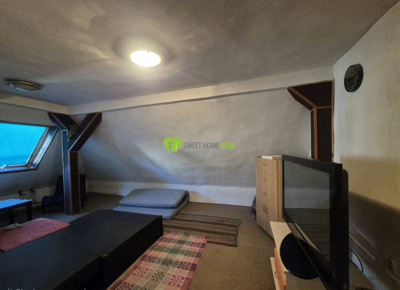 Attic room with squeaky mattresses, a television, and a skylight in a family house.