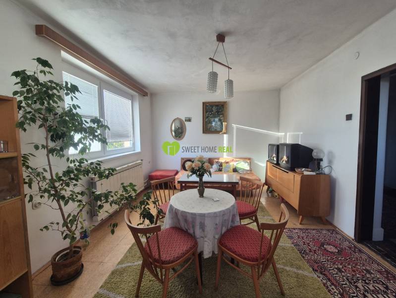 Living room in a family house with carpets and greenery, furnished with wooden furniture.