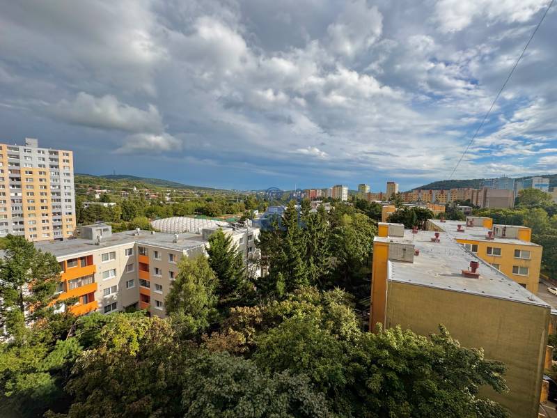 dubravka-1izbovy-byt-na-predaj-vyhlad