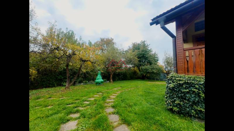 A garden at a family house in Medzev with trees and a lawn with a stone path.