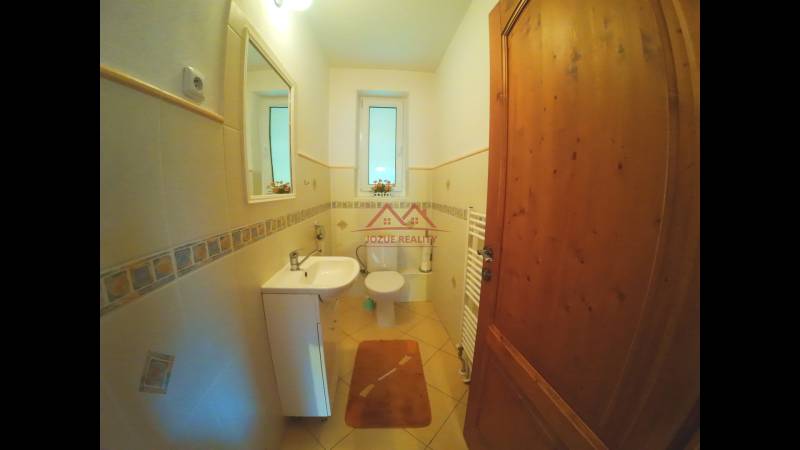 A bathroom in a family house with a sink, mirror, and toilet, wooden door.