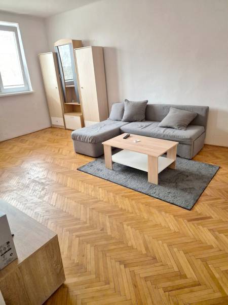 Living room with wood-patterned flooring, sofa, and furniture in a studio apartment.