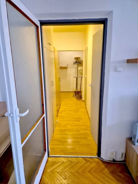 A hallway with a wooden decor floor in a studio apartment with storage spaces.