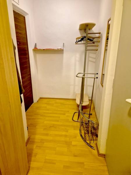 A hallway with a wooden decor floor, a coat rack, and a mirror in a studio apartment.