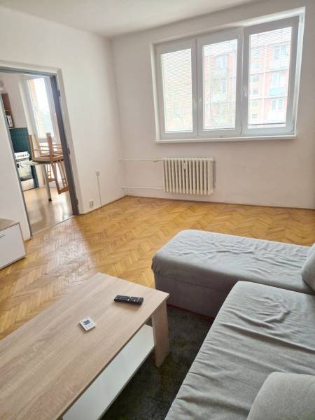 Living room in a one-room apartment with a sofa and a wooden-patterned floor.