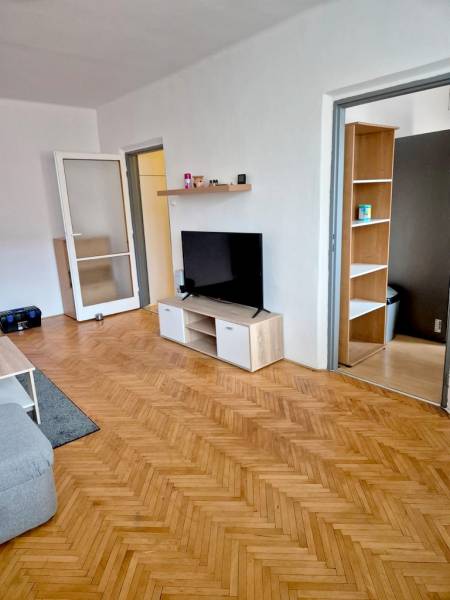 Living room in a studio apartment with wood-patterned flooring and a television on a stand.