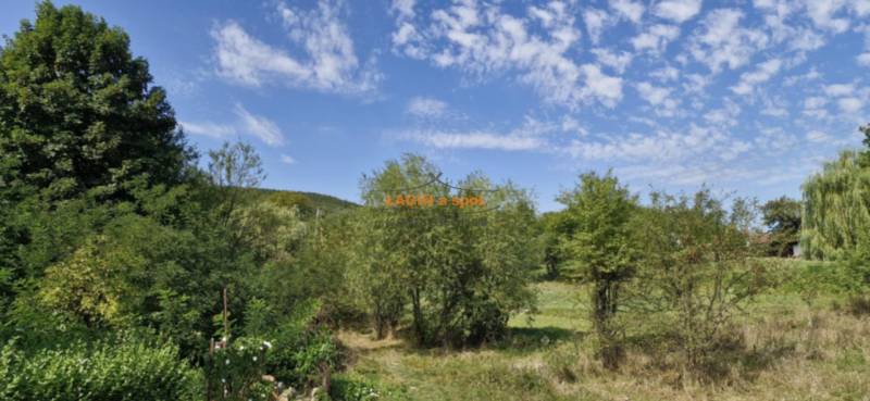 Greenery in Hollóháza, surrounded by trees and a blue sky.