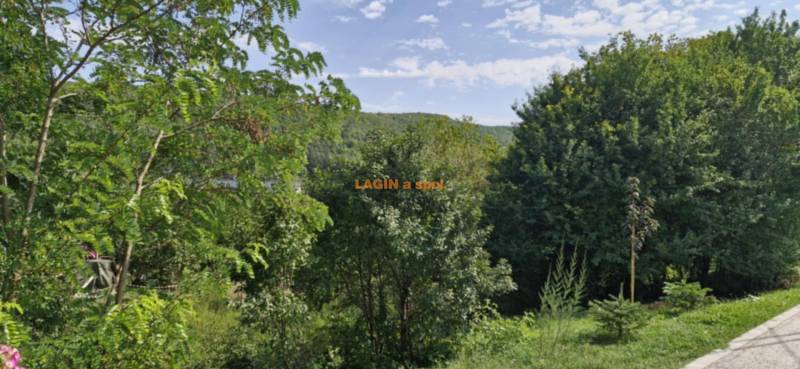 A garden full of trees and shrubs in Hollóháza near a 2-room apartment.