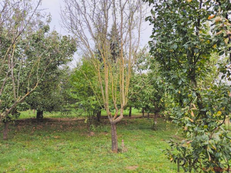 Garden in Göncruszka with fruit trees, suitable for living in nature.
