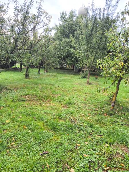 Garden plot with fruit trees in Göncruszka, ideal for residential land.