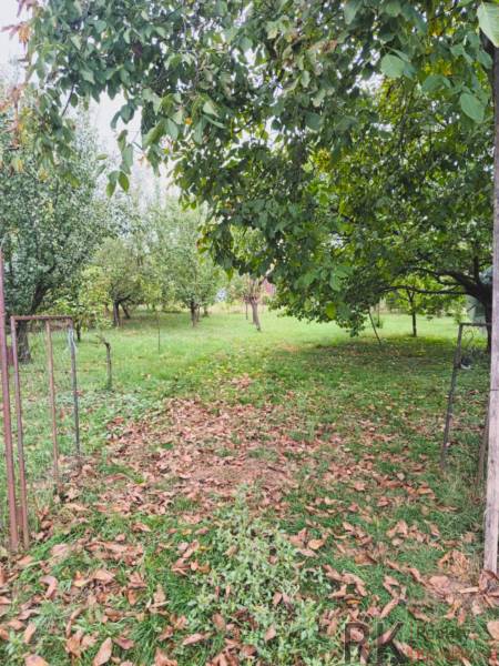 A garden with fruit trees in Göncruszka, suitable for residential plots.