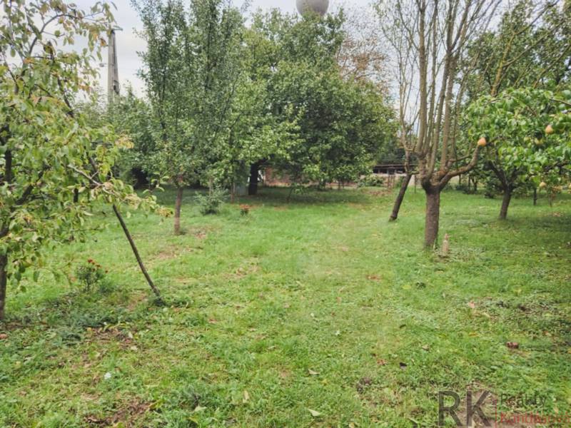 Greenery and fruit trees on the property in Göncruszka, ideal for living.