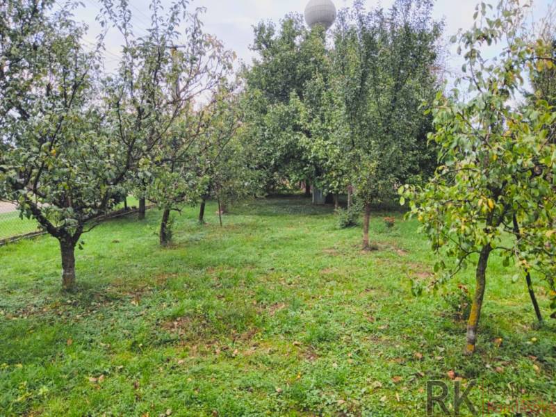 Fruit trees on a residential plot in Göncruszka.