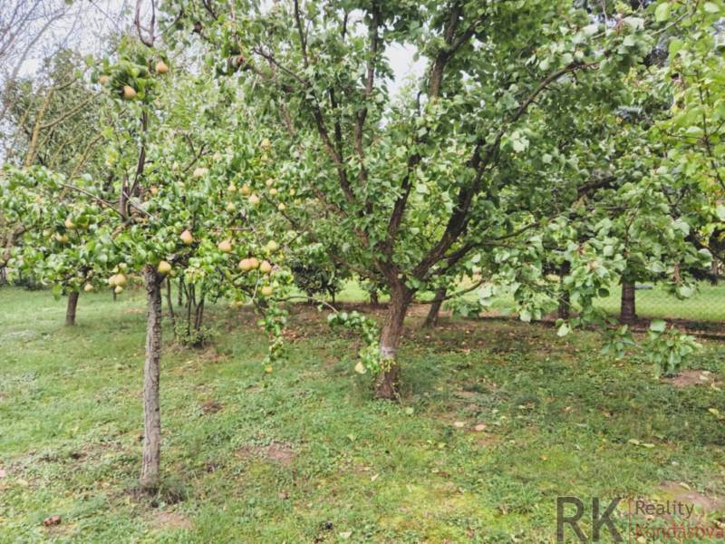 Greenery in Göncruszka, residential plots with fruit trees and lawn.
