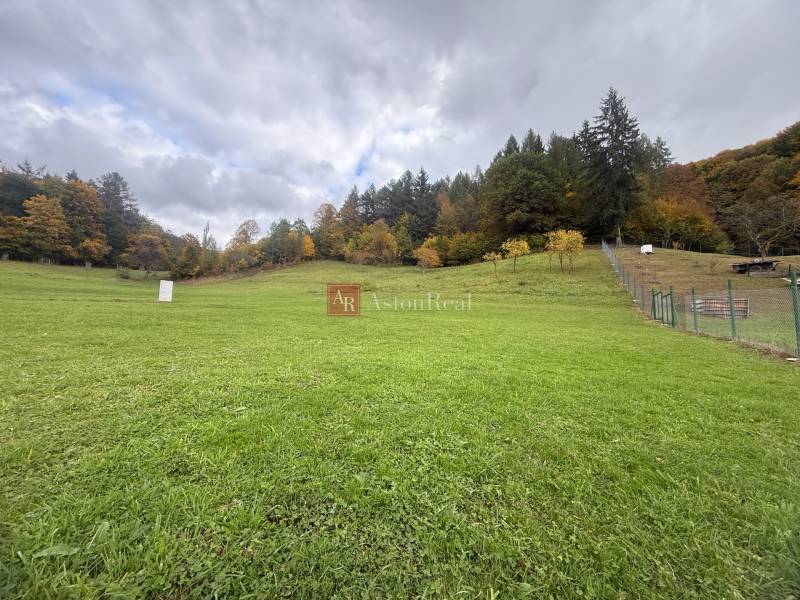 A vast green area with a wooded background in the Zbora area, Zbora, designated for residential land.