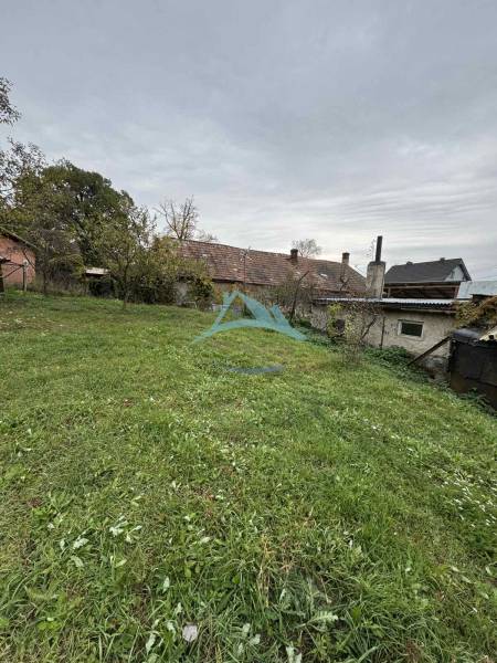 Greenery and a family house on Gaštanová Street in Vinica, visible garden and trees.