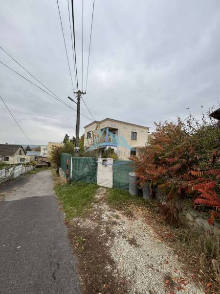 A family house on Gaštanová Street in Vinica surrounded by greenery near an asphalt road.