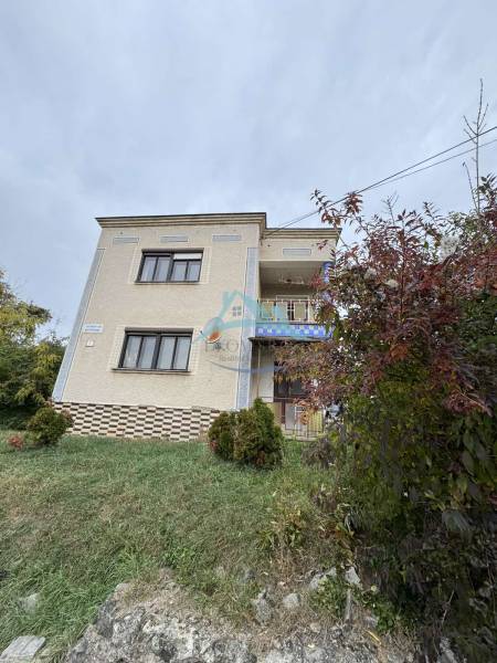 A family house on Gaštanová Street in Vinica with a grassy plot and shrubs.