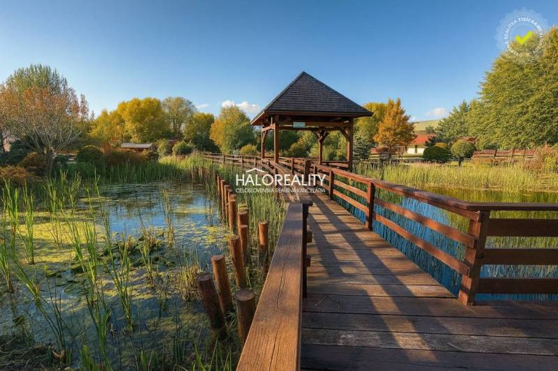 A garden with trees and a cottage in Liptovský Mikuláš. Autumn leaves cover the lawn.
