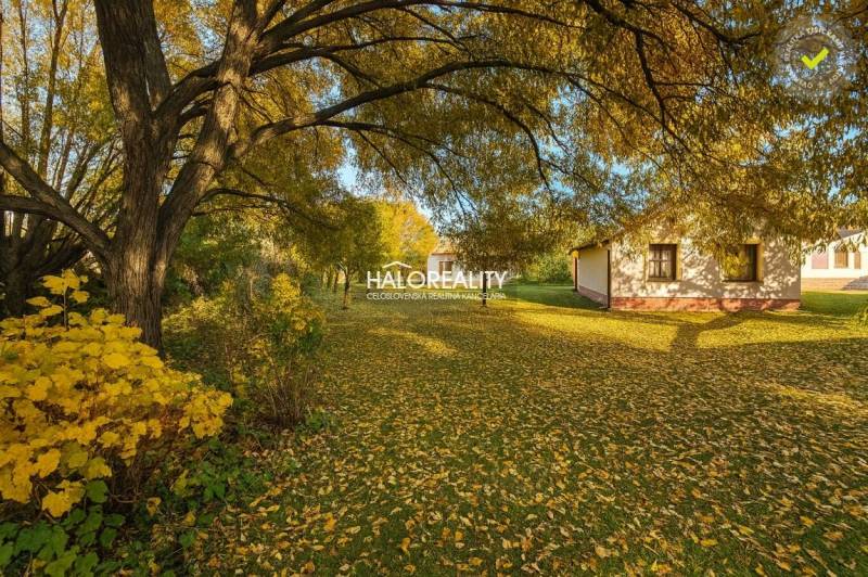 A children's playground near the cottage in Liptovský Mikuláš under a clear blue sky.