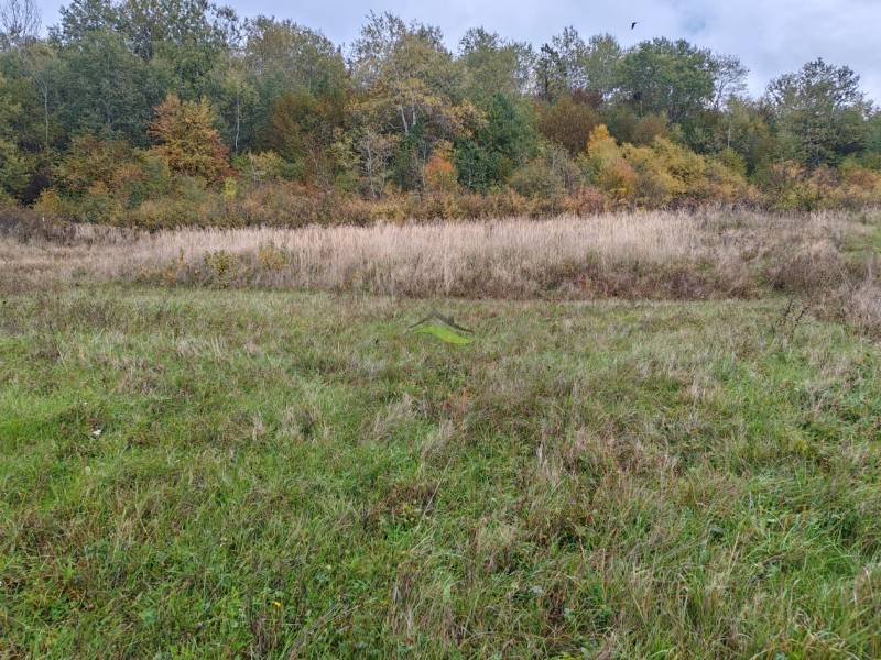 A grassy plot for residential use on Chotčanská Street, Stropkov, surrounded by forest vegetation.