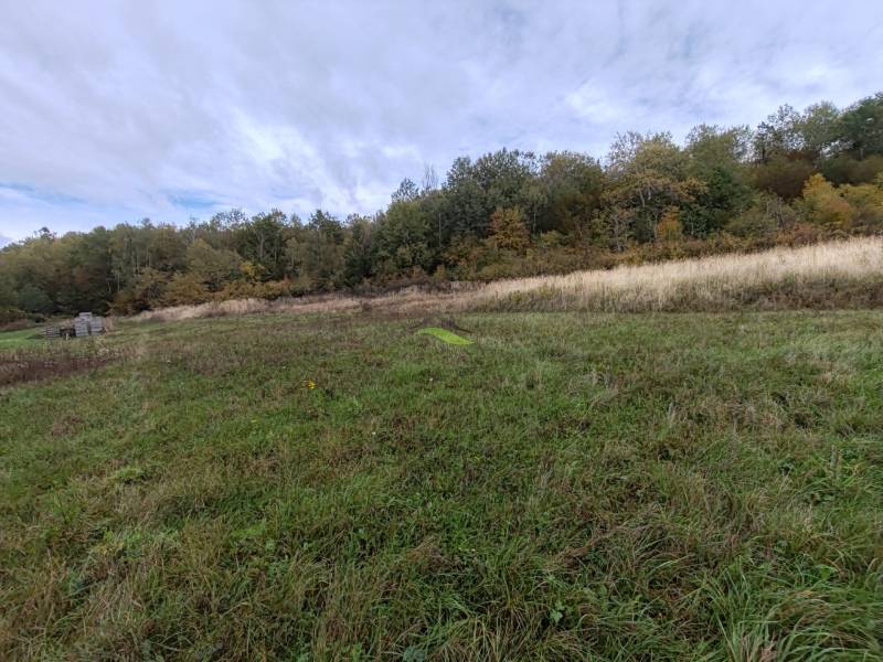 Grassy plots on Chotčanská Street in Stropkov, ideal for living.