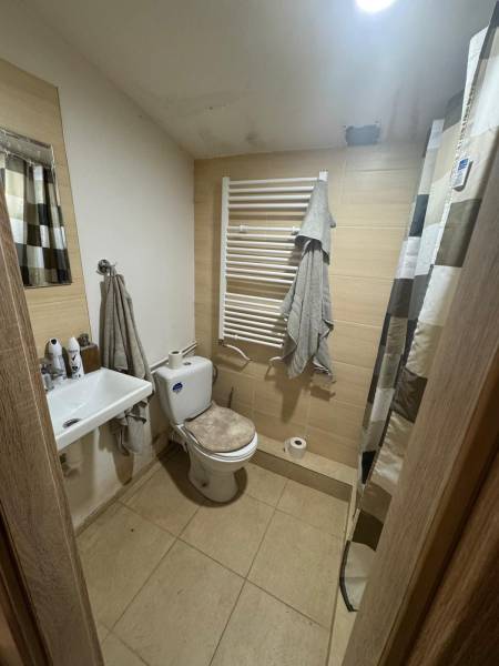Bathroom in the Cottage with toilet, shower, and towels on the radiator.