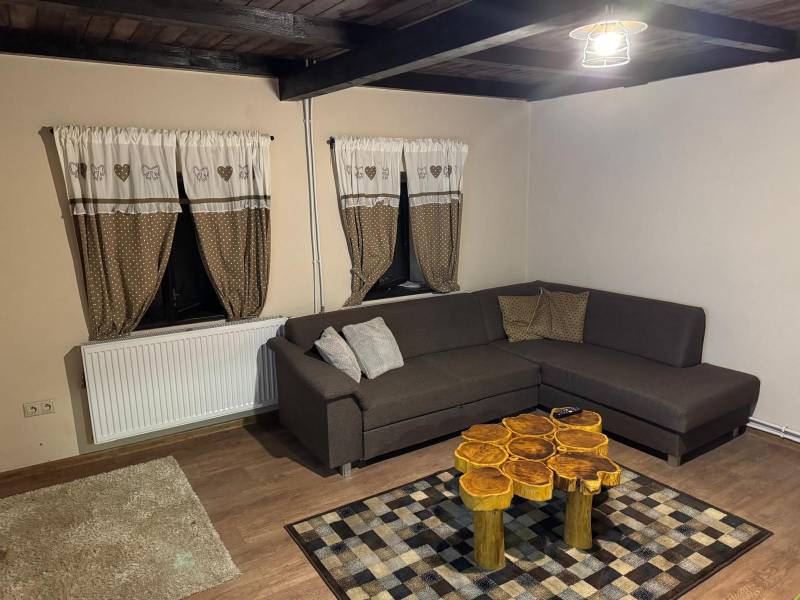 Living room in a cabin with a brown sofa and a decorative table.