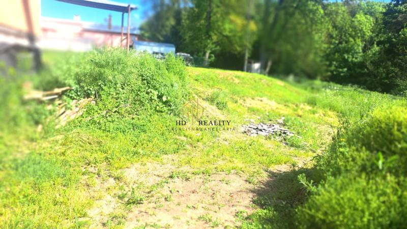 The garden of a family house in Hokovce with greenery and trees in the background.