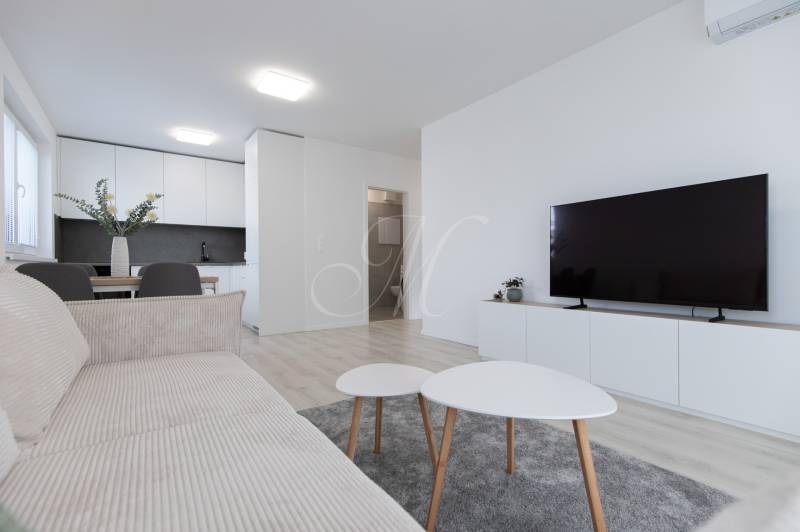 Living room with wood-patterned flooring, a sofa, a television, and a dining table in a two-room apartment.