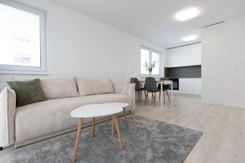 Living room with a sofa, dining table, and kitchen in a 2-room apartment with flooring.