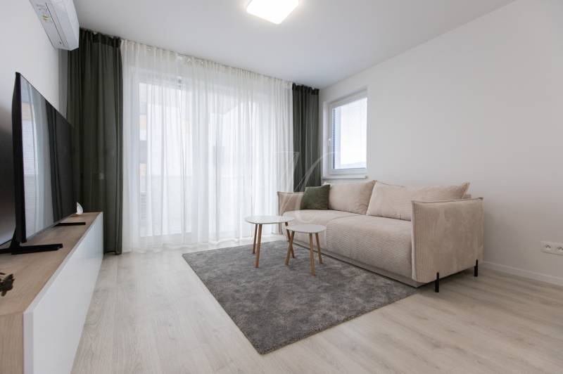 Living room in a two-room apartment with a sofa, coffee tables, and a wooden decor floor.