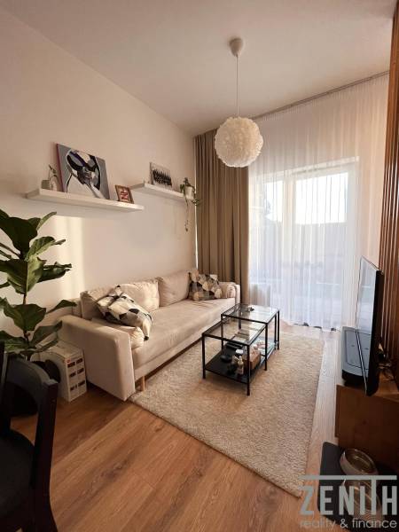 Living room of a one-room apartment with a sofa, table, plant, and wood-patterned floor.