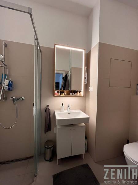 Bathroom with a sink, mirror, and shower in a studio apartment.