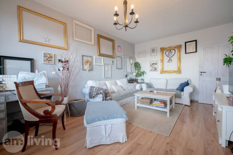 Living room in a 3-room apartment with a comfortable sofa, decorations, and a wooden-patterned floor.